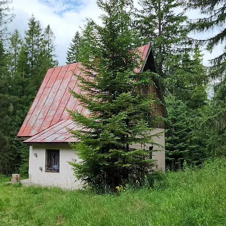 U Hagrida * Štrba